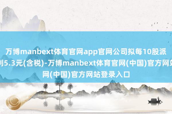 万博manbext体育官网app官网公司拟每10股派发现款红利5.3元(含税)-万博manbext体育官网(中国)官方网站登录入口