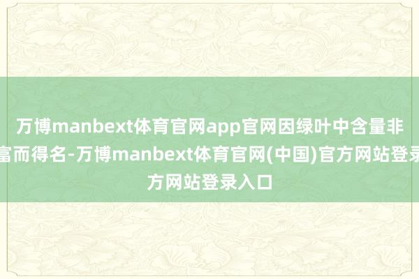 万博manbext体育官网app官网因绿叶中含量非常丰富而得名-万博manbext体育官网(中国)官方网站登录入口
