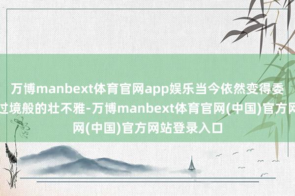 万博manbext体育官网app娱乐当今依然变得委果东谈主车过境般的壮不雅-万博manbext体育官网(中国)官方网站登录入口