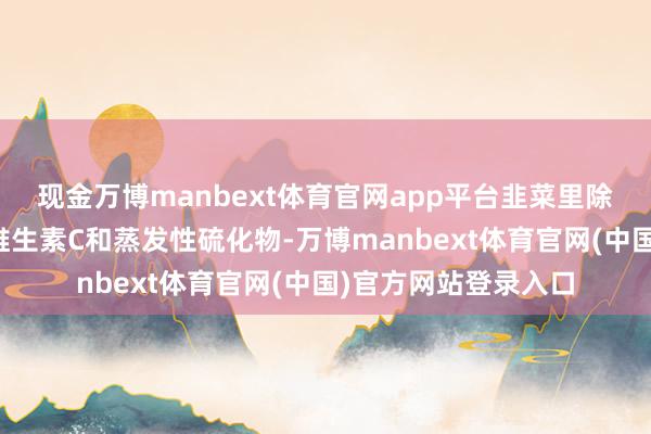 现金万博manbext体育官网app平台韭菜里除了多半膳食纤维、维生素C和蒸发性硫化物-万博manbext体育官网(中国)官方网站登录入口