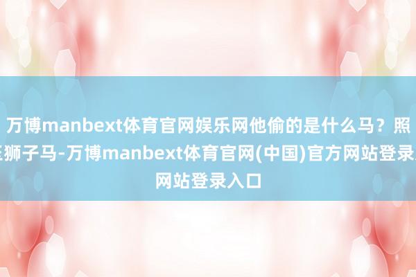 万博manbext体育官网娱乐网他偷的是什么马？照夜玉狮子马-万博manbext体育官网(中国)官方网站登录入口