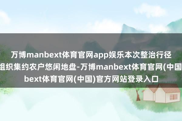 万博manbext体育官网app娱乐本次整治行径由洲仔镇村级经济组织集约农户悠闲地盘-万博manbext体育官网(中国)官方网站登录入口